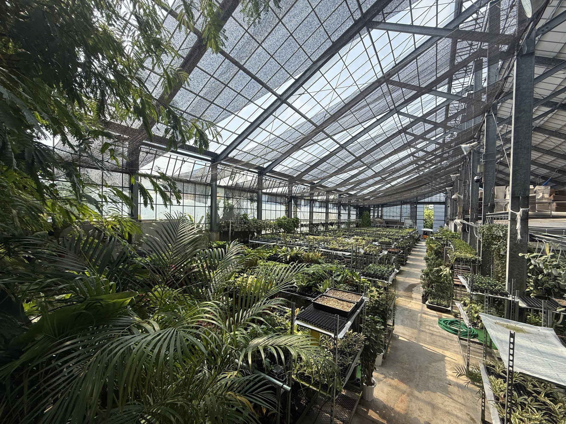 たくさんの植物が並ぶプラネットファームのハウス