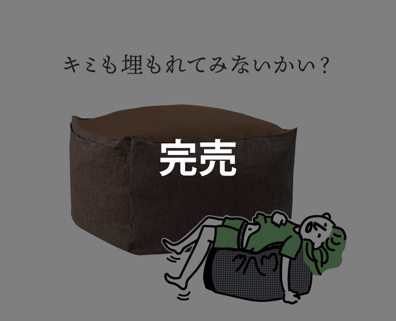 (日本語) ビーズクッション( L )