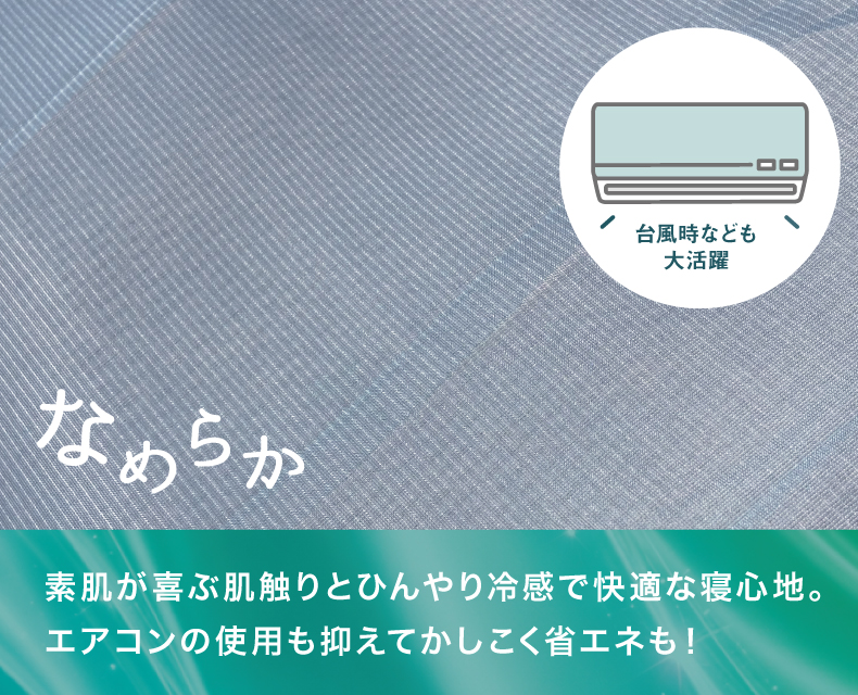 (日本語) 冷感なめらかリバーシブルケット( シングル )