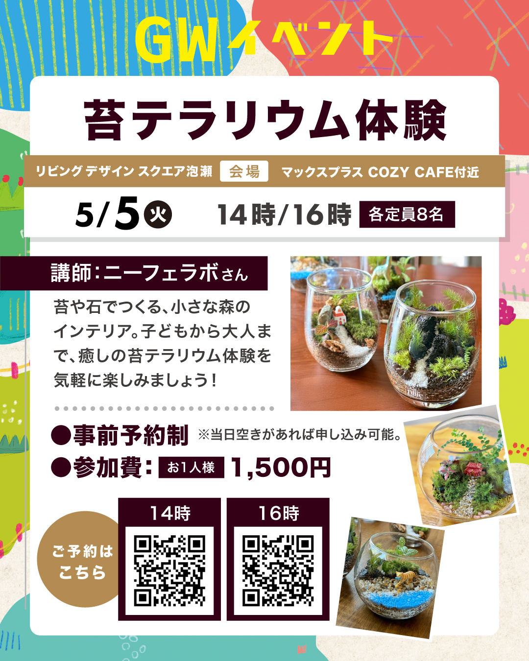 苔てらりうむ
