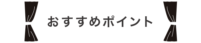 おすすめポイント：どの生地を選んでも同じ価格！新築やカーテンを新調する方におすすめ！