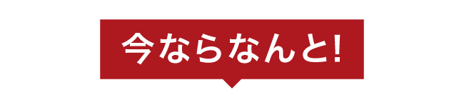 ピタリカーテン 今ならなんと！
