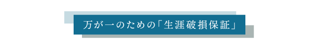 エイラス_08