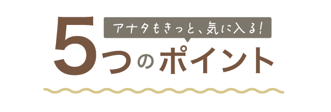 キャンバスソファ_06_5つのポイント