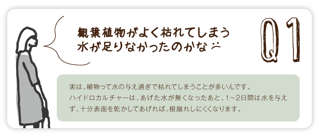Q&A1
