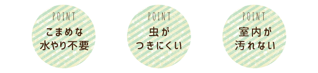 POINT