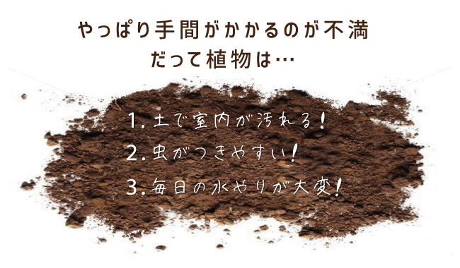 でもやっぱり