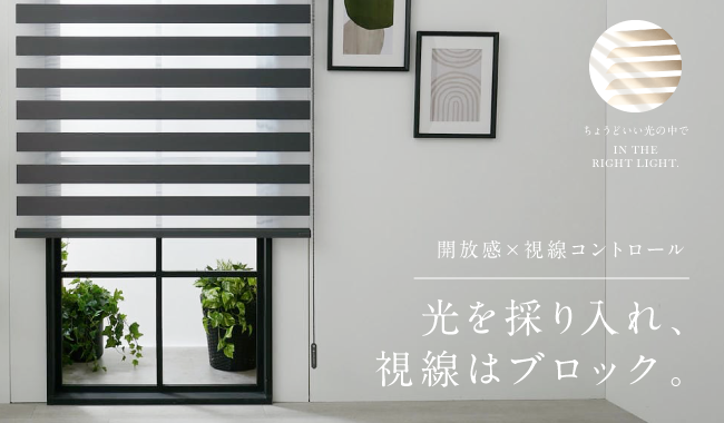 調光ロールスクリーン